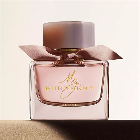 burberry classic perfume macys|my Burberry perfume best price.